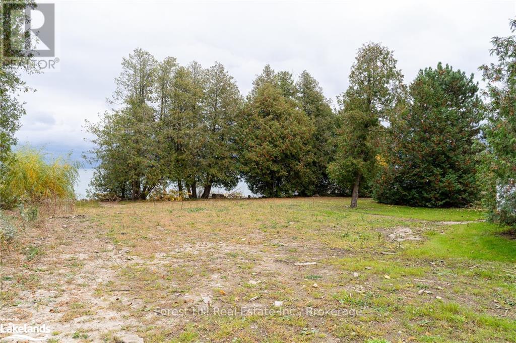 297 Lakeshore Road N, Meaford, Ontario  N4L 0A7 - Photo 13 - X10439122