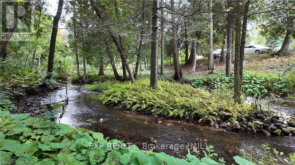 119 Old Bridge Road South, West Grey, Ontario  N4N 3B8 - Photo 20 - X10846874