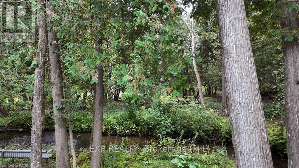 119 Old Bridge Road South, West Grey, Ontario  N4N 3B8 - Photo 24 - X10846874