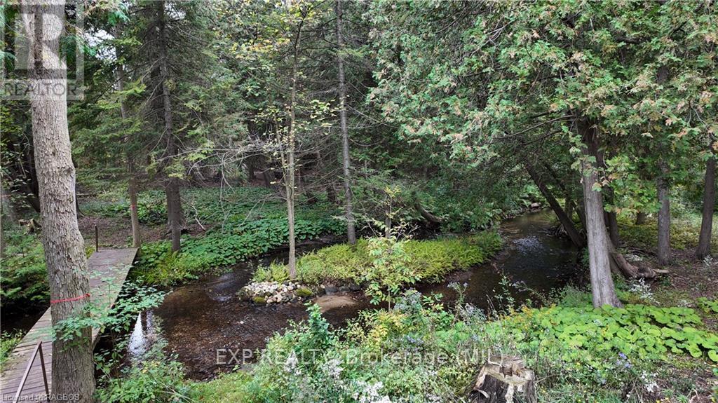 119 Old Bridge Road South, West Grey, Ontario  N4N 3B8 - Photo 26 - X10846874