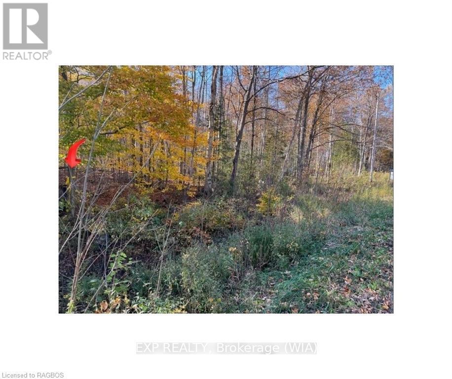 Ptlt 17 Grey Road 17, Georgian Bluffs, Ontario  N0H 2T0 - Photo 11 - X10847032