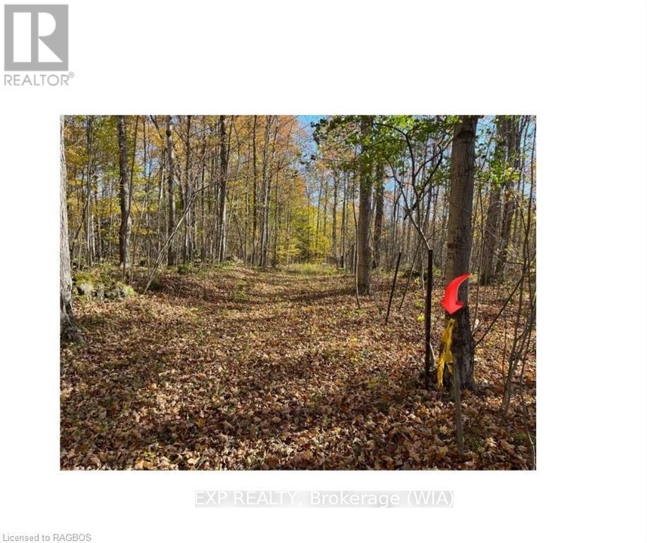 Ptlt 17 Grey Road 17, Georgian Bluffs, Ontario  N0H 2T0 - Photo 16 - X10847032