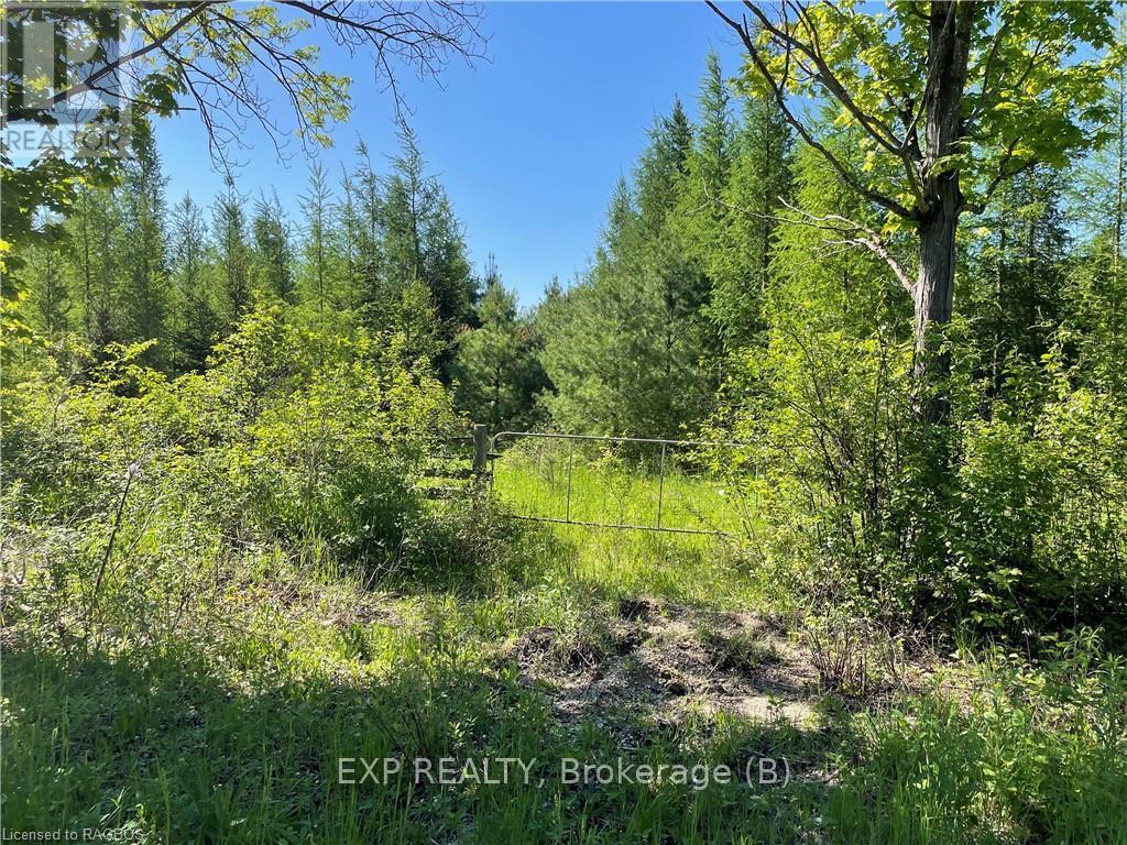 Lt 13 Sideroad 10, Chatsworth, Ontario  N0H 1G0 - Photo 3 - X10847480