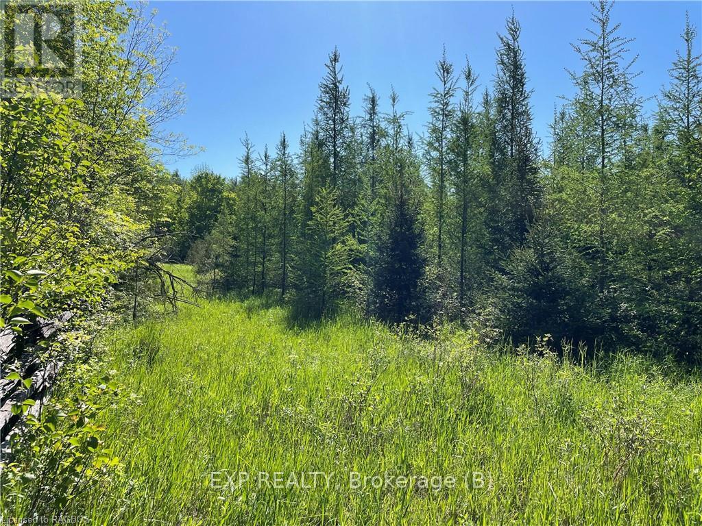 Lt 13 Sideroad 10, Chatsworth, Ontario  N0H 1G0 - Photo 4 - X10847480