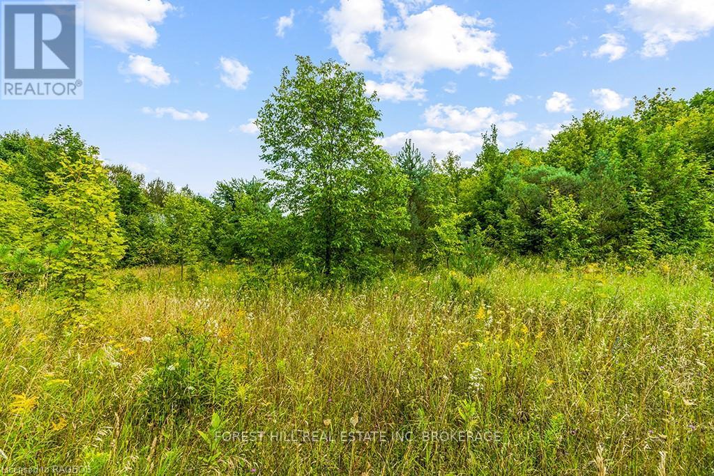 Lt40 Highland Drive, West Grey, Ontario  N0C 1H0 - Photo 15 - X10847514