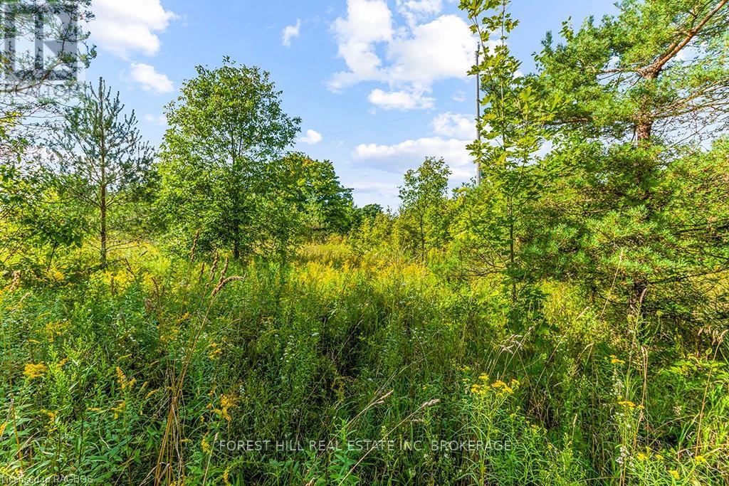 Lt40 Highland Drive, West Grey, Ontario  N0C 1H0 - Photo 17 - X10847514