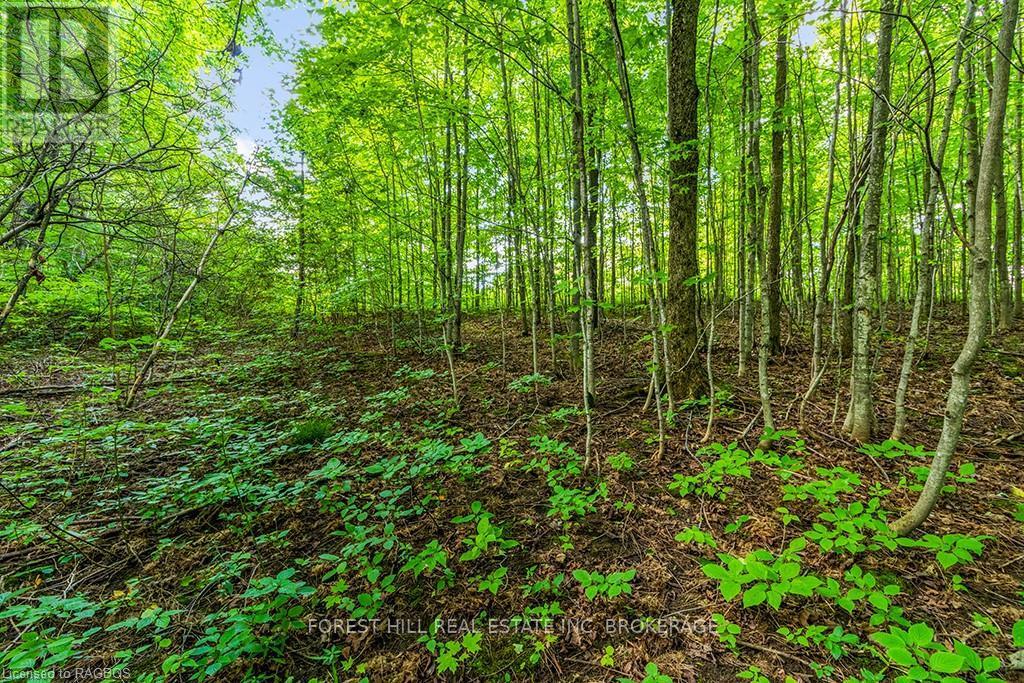 Lt40 Highland Drive, West Grey, Ontario  N0C 1H0 - Photo 20 - X10847514