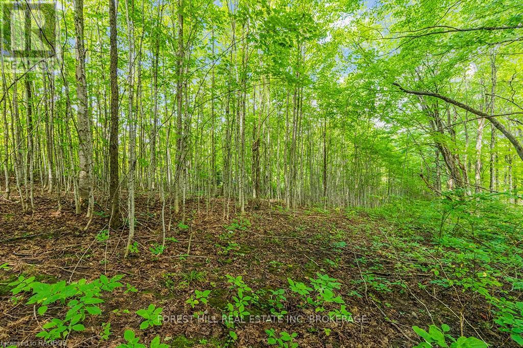 Lt40 Highland Drive, West Grey, Ontario  N0C 1H0 - Photo 21 - X10847514