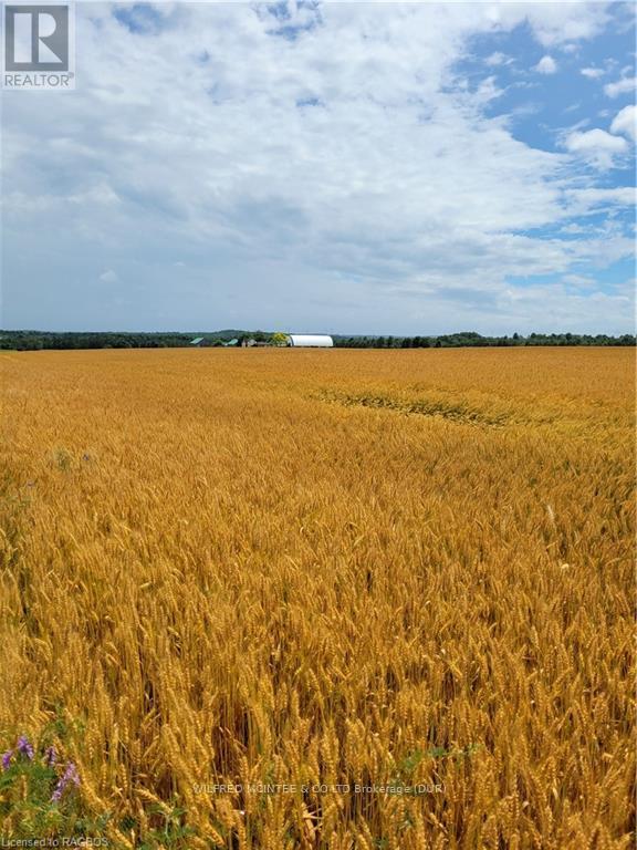 383318 Concession Road 4, West Grey, Ontario  N0G 1R0 - Photo 40 - X10847906