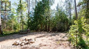 6313 6, Northern Bruce Peninsula, Ontario  N0H 2R0 - Photo 37 - X10847909