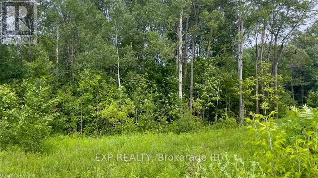 130 Balmy Beach Road, Georgian Bluffs, Ontario  N4K 5N4 - Photo 2 - X10847954