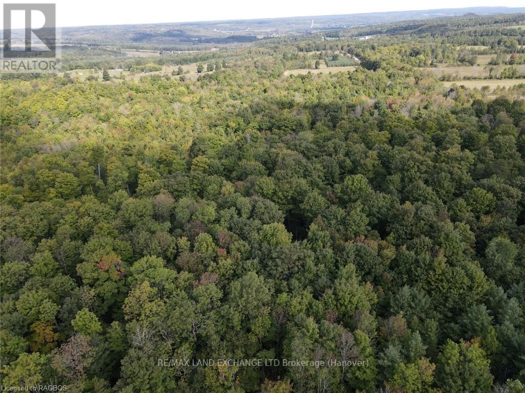 E1/2 Lt 9 Concession 8, Chatsworth, Ontario  N0H 1G0 - Photo 12 - X10847985