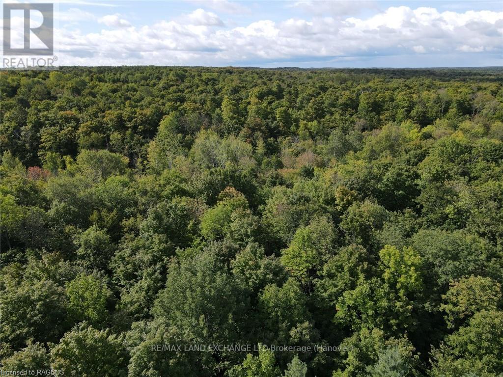 E1/2 Lt 9 Concession 8, Chatsworth, Ontario  N0H 1G0 - Photo 13 - X10847985