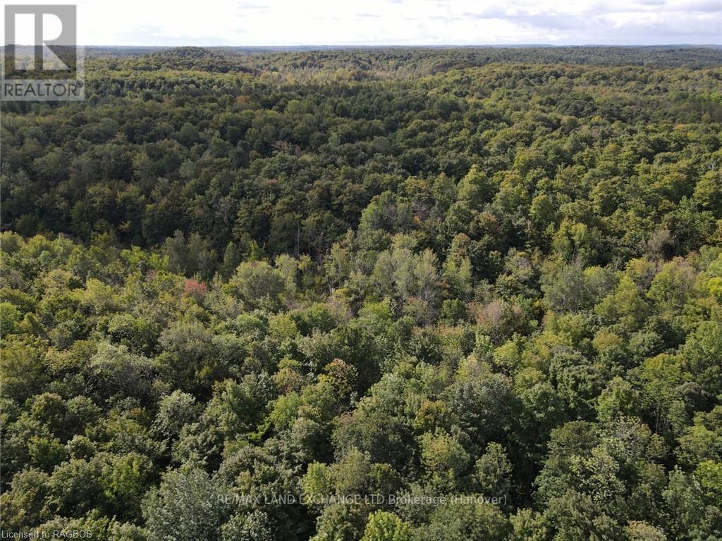 E1/2 Lt 9 Concession 8, Chatsworth, Ontario  N0H 1G0 - Photo 15 - X10847985