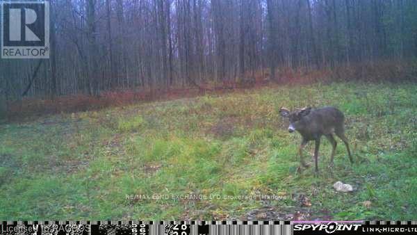 E1/2 Lt 9 Concession 8, Chatsworth, Ontario  N0H 1G0 - Photo 2 - X10847985