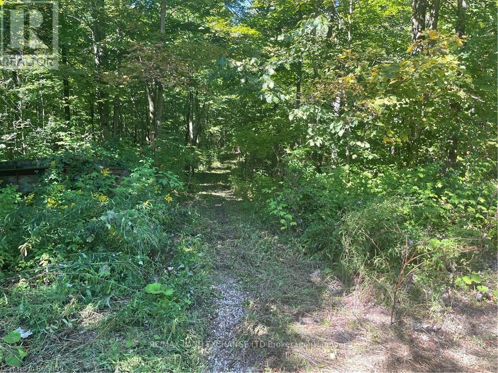 E1/2 Lt 9 Concession 8, Chatsworth, Ontario  N0H 1G0 - Photo 4 - X10847985