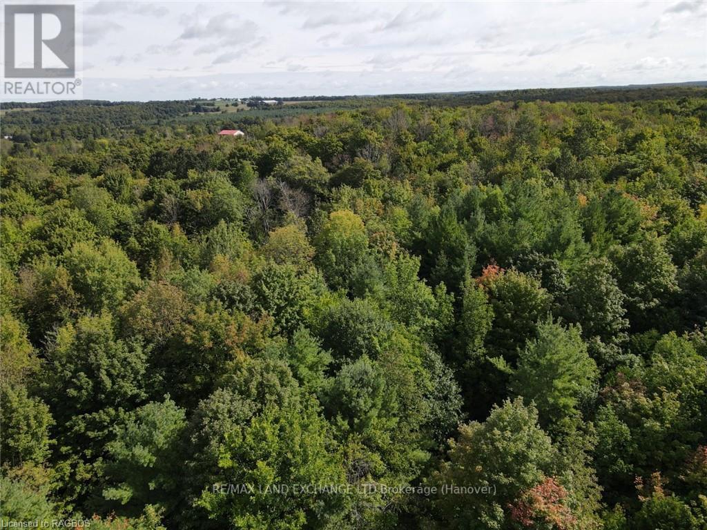 E1/2 Lt 9 Concession 8, Chatsworth, Ontario  N0H 1G0 - Photo 8 - X10847985