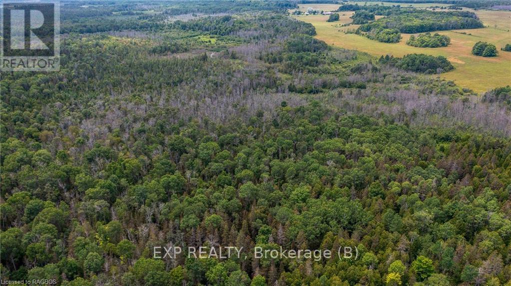 Ptlt 27 Con 3 Highway 6, Northern Bruce Peninsula, Ontario  N0H 1Z0 - Photo 10 - X10849571