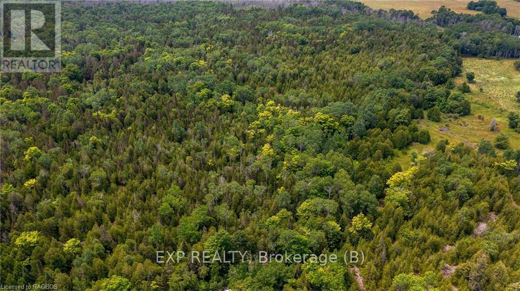 Ptlt 27 Con 3 Highway 6, Northern Bruce Peninsula, Ontario  N0H 1Z0 - Photo 9 - X10849571