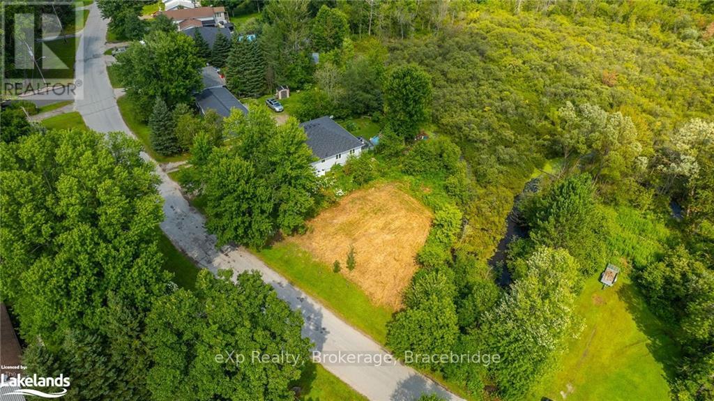 LOT 10 ANSON STREET, Minden Hills, Ontario