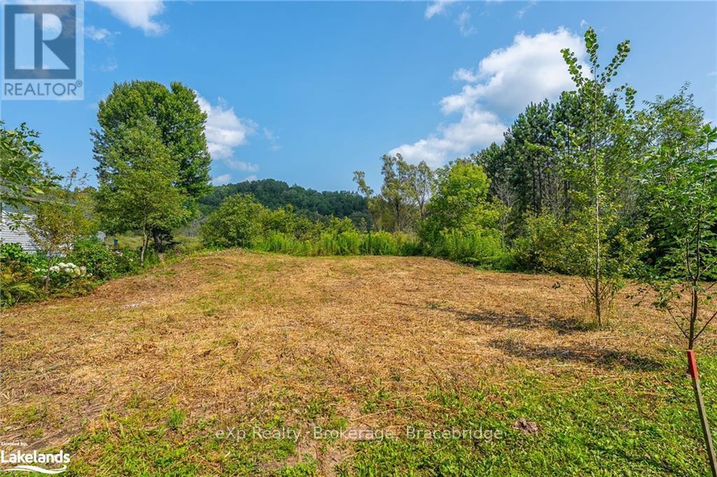 Lot 10 Anson Street, Minden Hills, Ontario  K0M 2K0 - Photo 13 - X10894991
