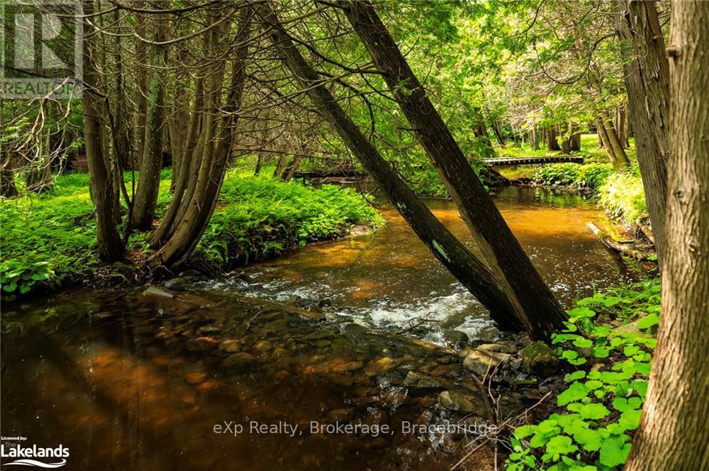 506097 Highway 89, Mulmur, Ontario  L9V 0N6 - Photo 37 - X10895807