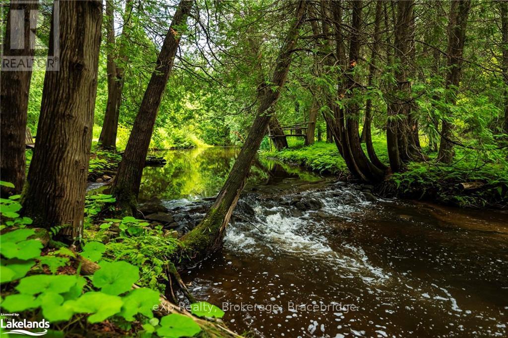 506097 Highway 89, Mulmur, Ontario  L9V 0N6 - Photo 4 - X10895807