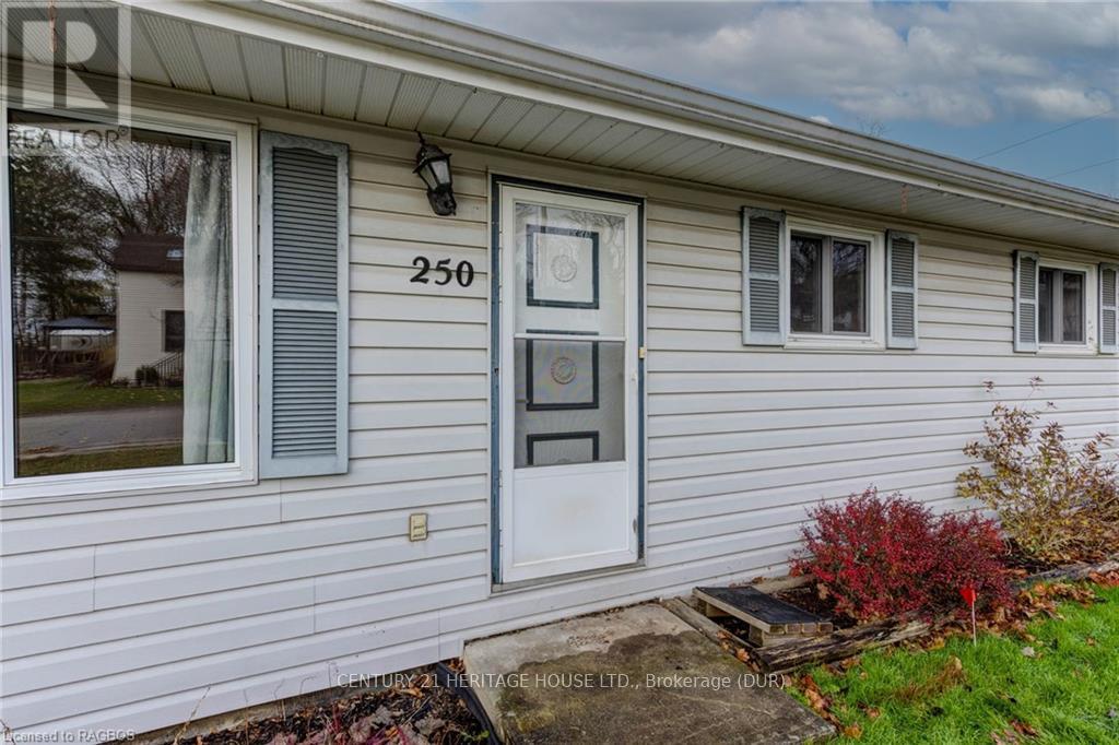 250 Queen St N, West Grey, Ontario  N0G 1R0 - Photo 4 - X11822913