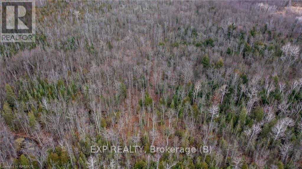 Ptlt1-2 Concession Road 3, Georgian Bluffs, Ontario  N0H 1G0 - Photo 13 - X11823032