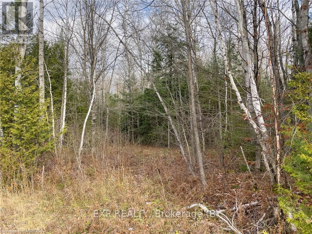 Ptlt1-2 Concession Road 3, Georgian Bluffs, Ontario  N0H 1G0 - Photo 16 - X11823032