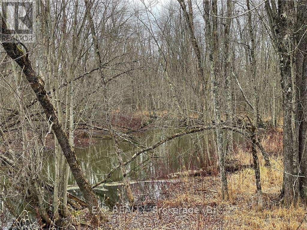 Ptlt1-2 Concession Road 3, Georgian Bluffs, Ontario  N0H 1G0 - Photo 18 - X11823032