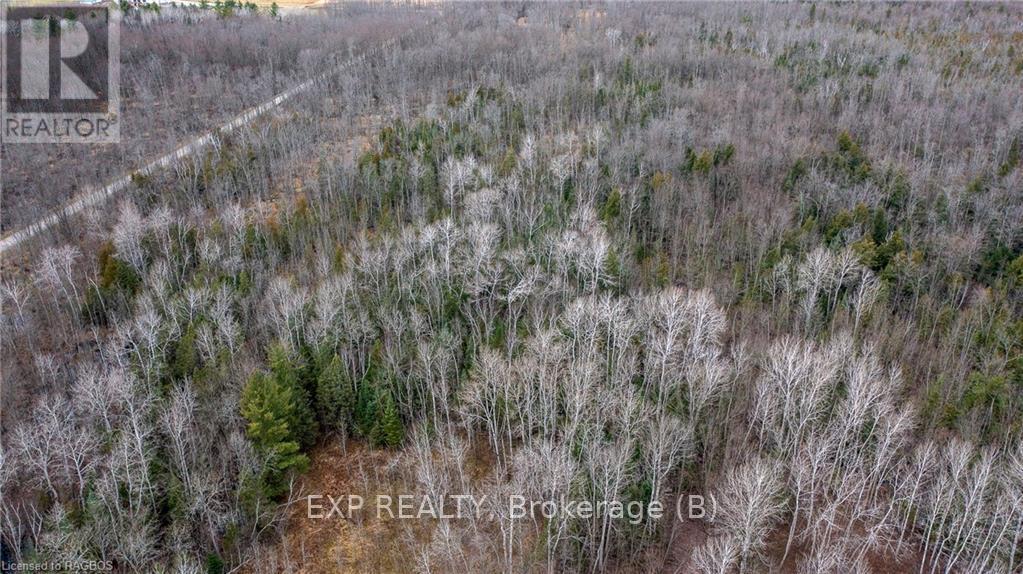 Ptlt1-2 Concession Road 3, Georgian Bluffs, Ontario  N0H 1G0 - Photo 7 - X11823032