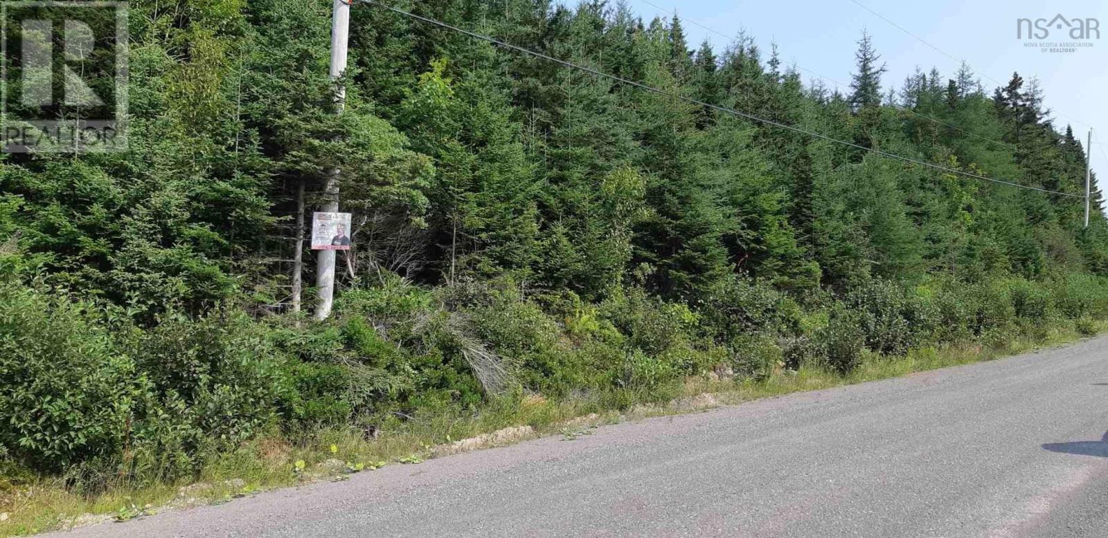 Lot Salem Road, Enon, Nova Scotia  B1J 1W1 - Photo 1 - 202203649