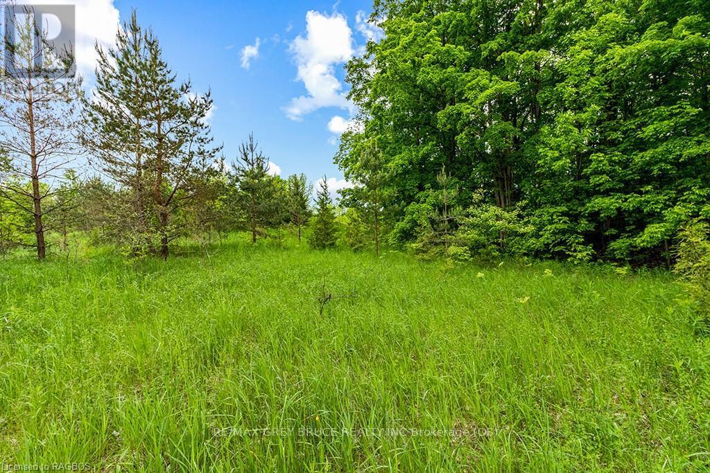 Ptlt 16 Side Road 5, Chatsworth, Ontario  N0H 1G0 - Photo 20 - X10850008