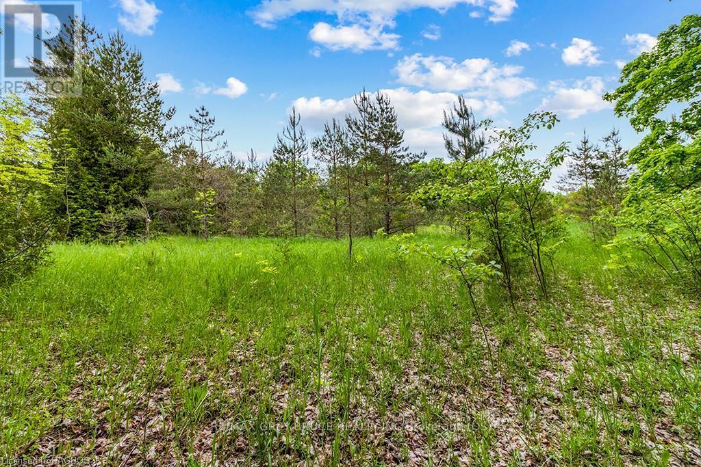 Ptlt 16 Side Road 5, Chatsworth, Ontario  N0H 1G0 - Photo 32 - X10850008