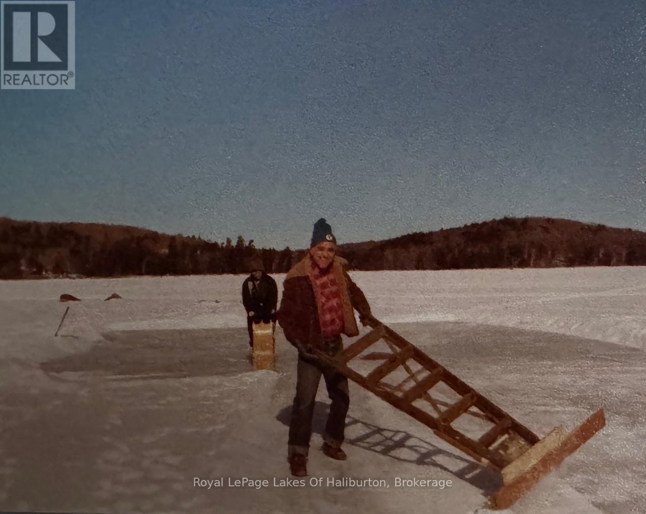 1017 Palace Drive, Dysart Et Al, Ontario  K0M 1S0 - Photo 16 - X11890380