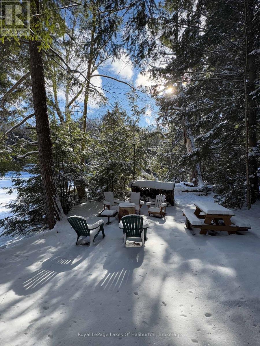 1017 Palace Drive, Dysart Et Al, Ontario  K0M 1S0 - Photo 18 - X11890380