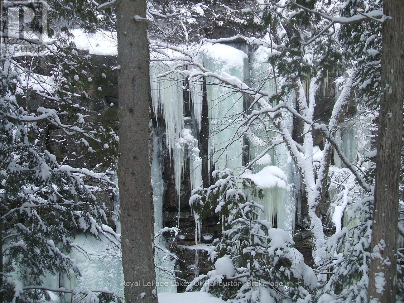 1017 Palace Drive, Dysart Et Al, Ontario  K0M 1S0 - Photo 30 - X11890380