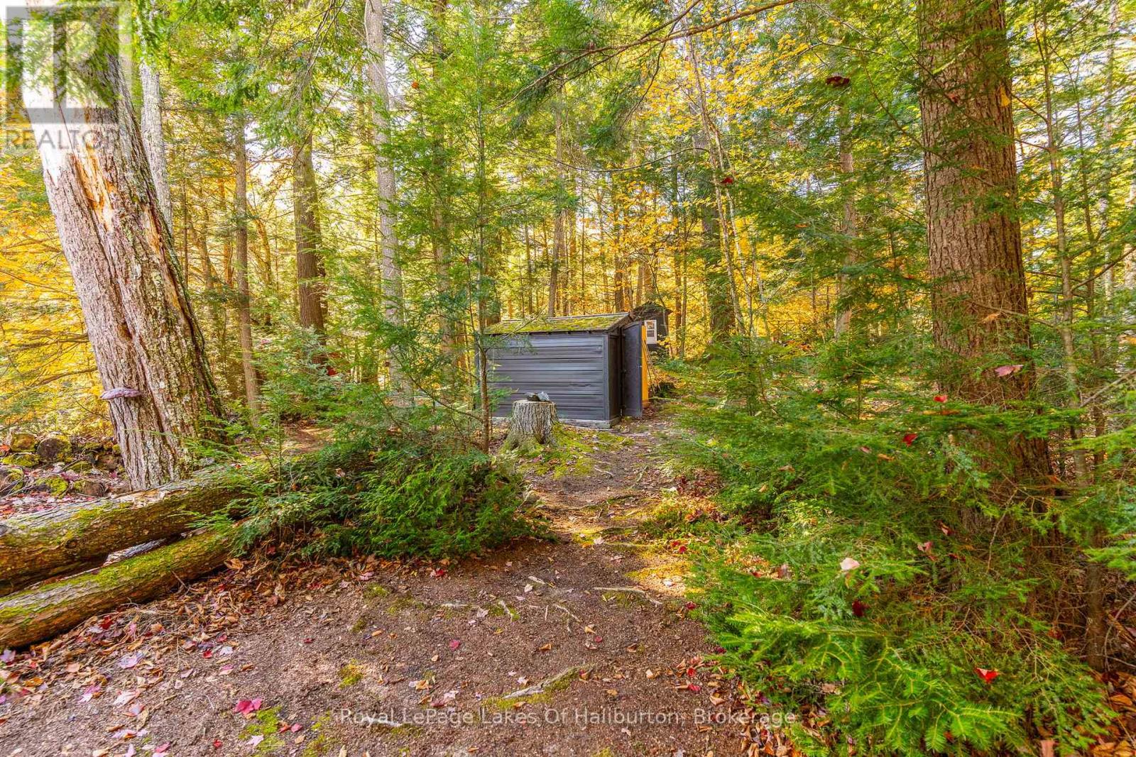 1017 Palace Drive, Dysart Et Al, Ontario  K0M 1S0 - Photo 31 - X11890380