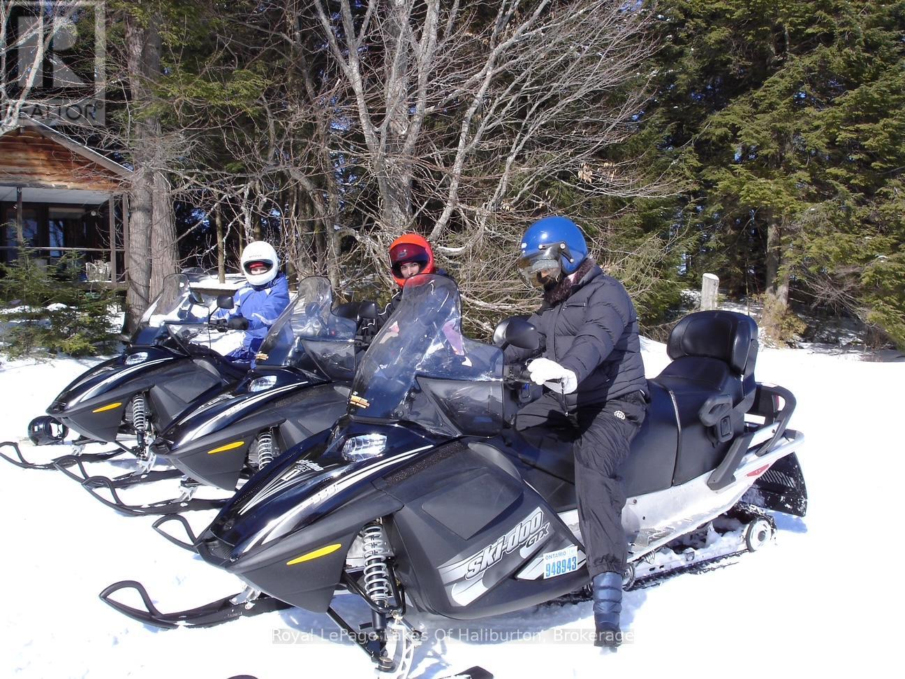 1017 Palace Drive, Dysart Et Al, Ontario  K0M 1S0 - Photo 6 - X11890380