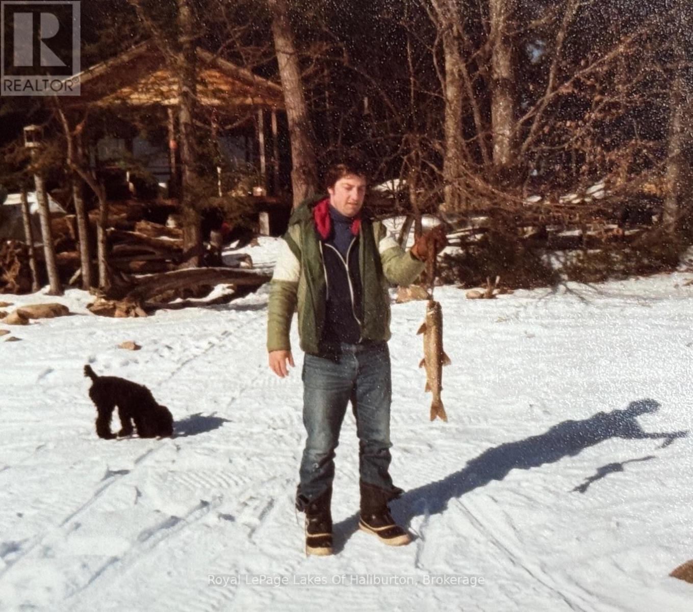 1017 Palace Drive, Dysart Et Al, Ontario  K0M 1S0 - Photo 8 - X11890380