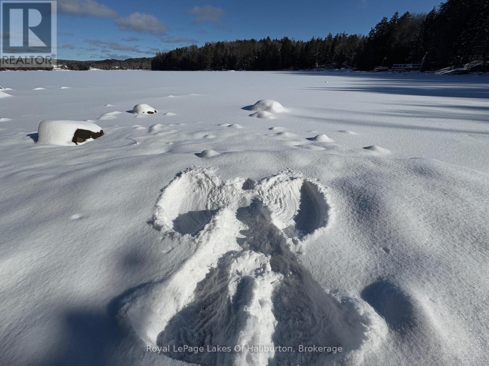 1017 Palace Drive, Dysart Et Al, Ontario  K0M 1S0 - Photo 9 - X11890380