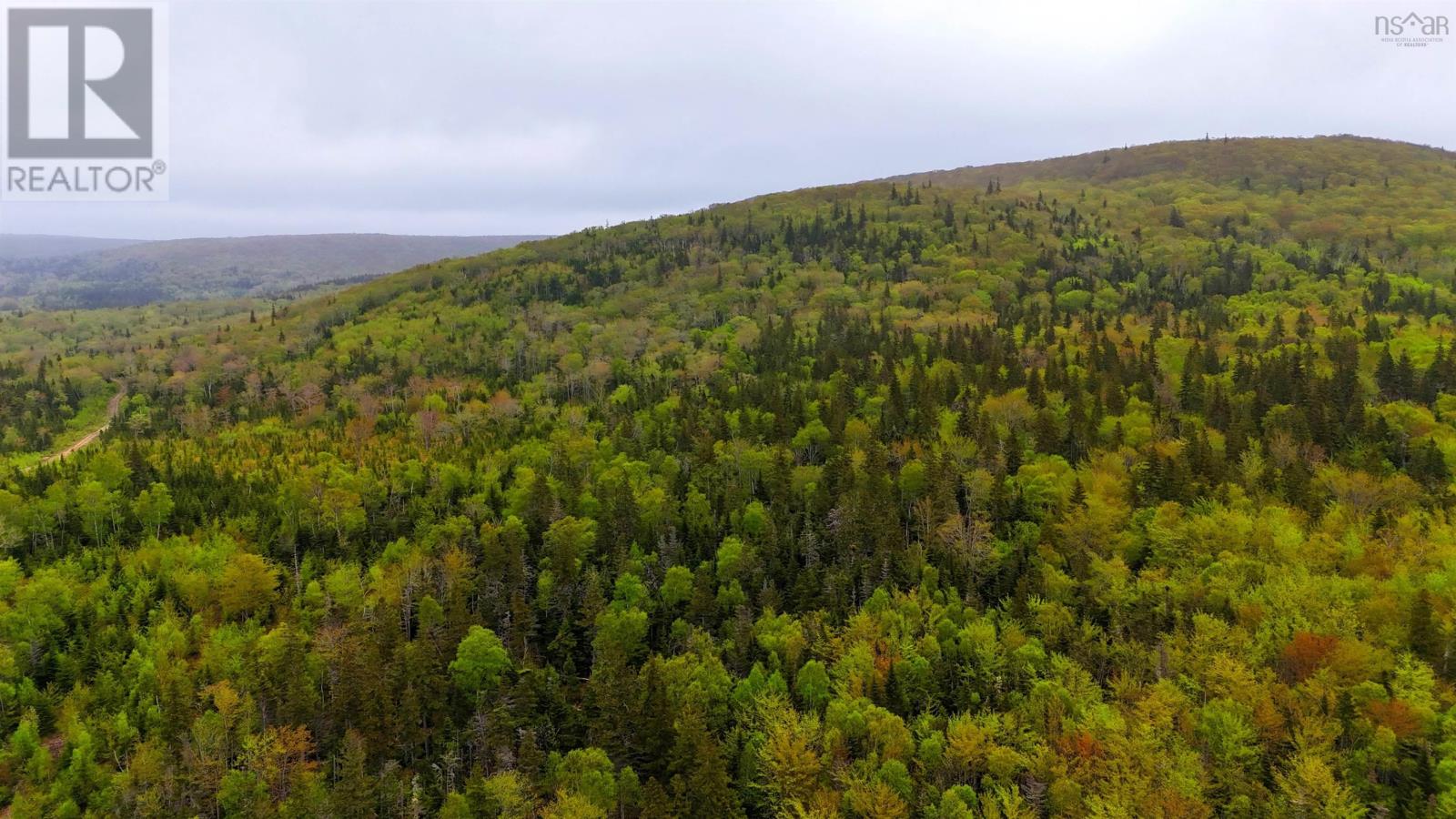 103 Acres On East Lake Ainslie Rd, East Lake Ainslie, Nova Scotia  B0E 3M0 - Photo 27 - 202412759