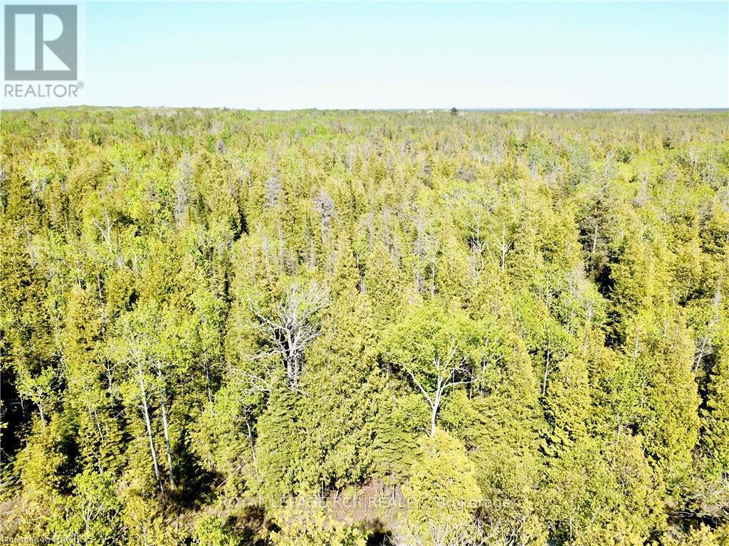 30 Pike Street, Northern Bruce Peninsula, Ontario  N0H 1W0 - Photo 15 - X10845882