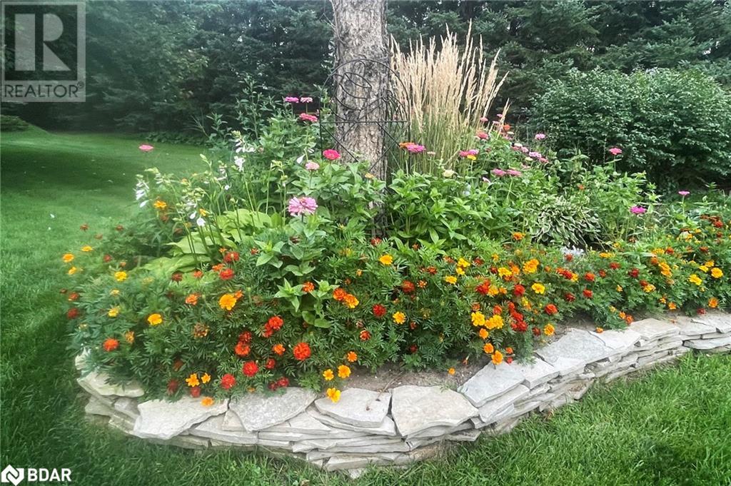 3801 Guest Road, Innisfil, Ontario  L9S 2S8 - Photo 22 - 40685161