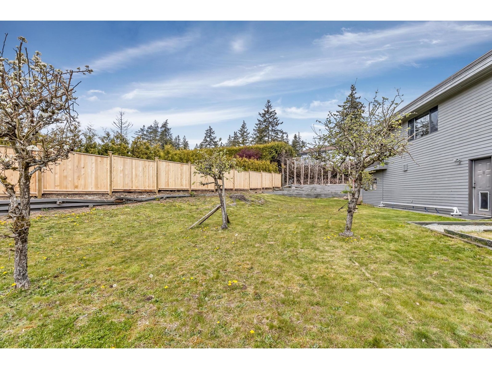 5441 128 Street, Surrey, British Columbia  V3X 1T8 - Photo 38 - R2950367