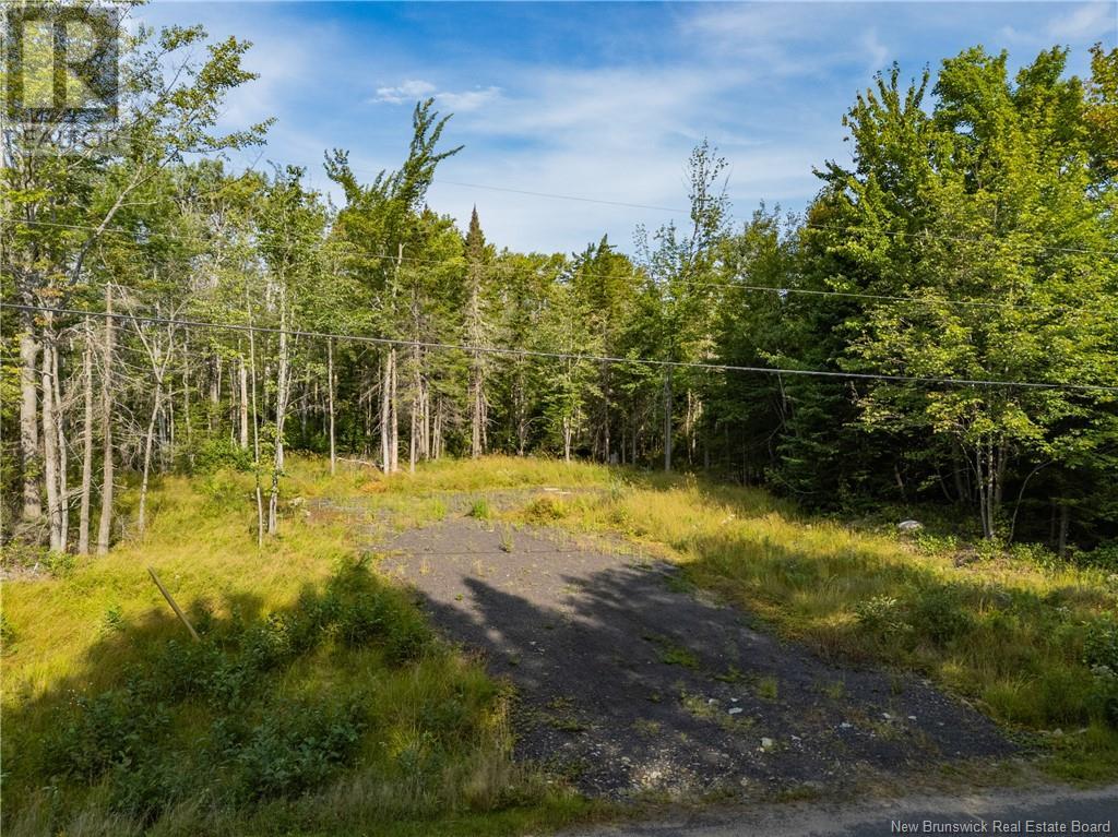 <h3>$29,900</h3><p>Lot 5 Wuhrs Beach Road, Flowers Cove, New Brunswick</p>