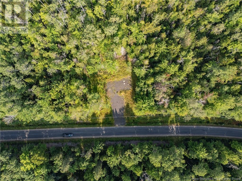 Lot 5 Wuhrs Beach Road, Flowers Cove, New Brunswick  E3B 6K6 - Photo 10 - NB110147