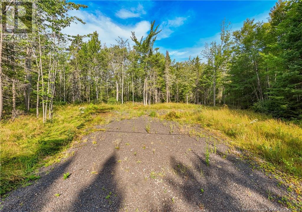 Lot 5 Wuhrs Beach Road, Flowers Cove, New Brunswick  E3B 6K6 - Photo 11 - NB110147