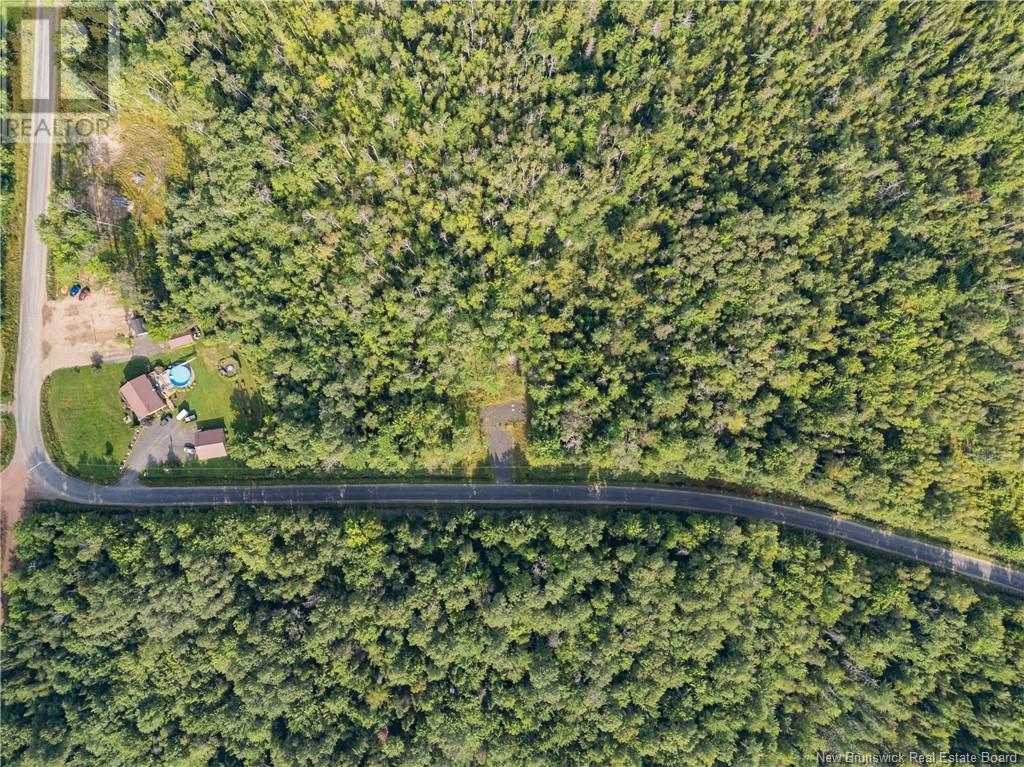 Lot 5 Wuhrs Beach Road, Flowers Cove, New Brunswick  E3B 6K6 - Photo 14 - NB110147